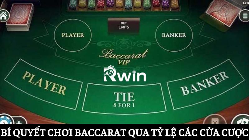 Bí quyết chơi Baccarat qua tỷ lệ các cửa cược 